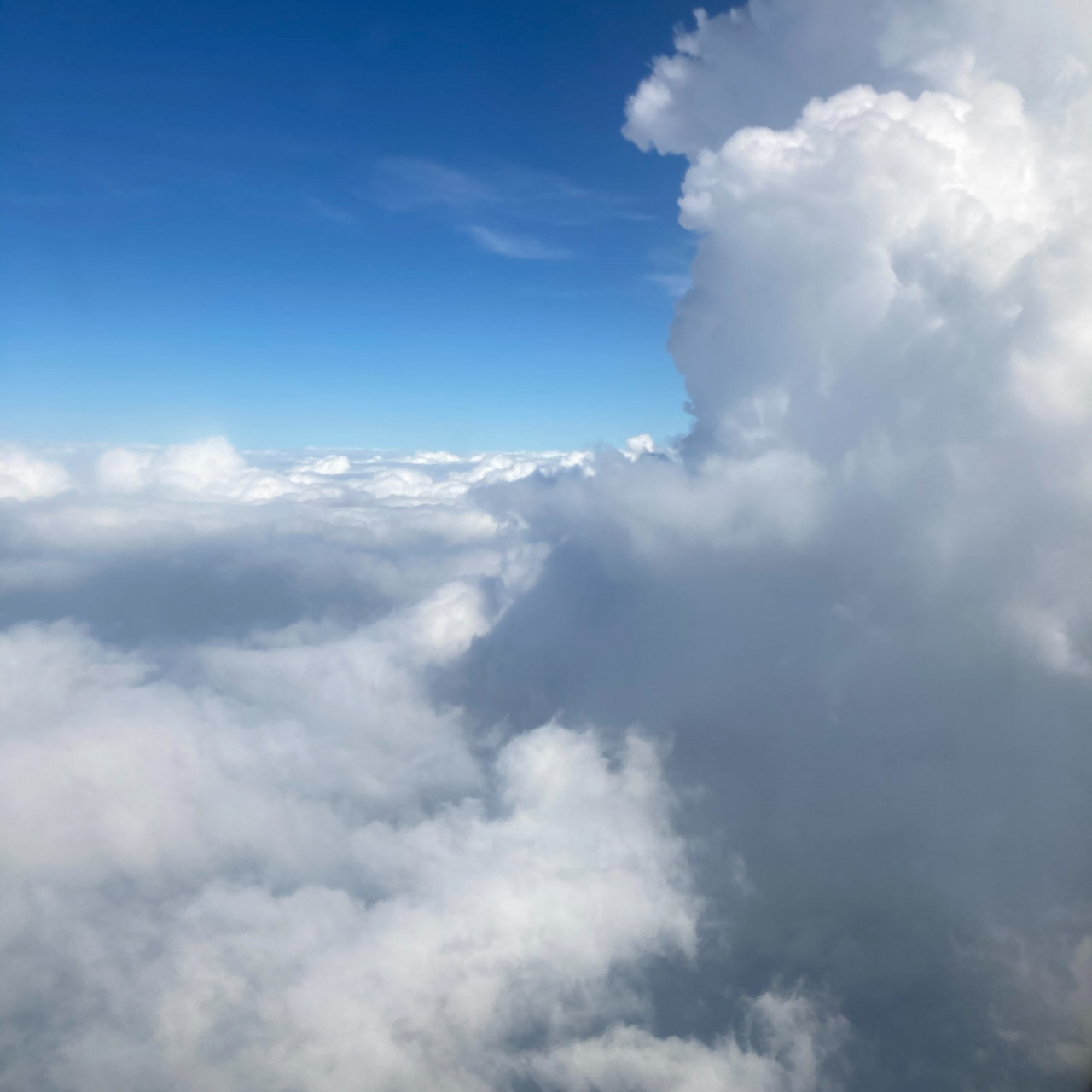 flight: ahmedabad to goa.